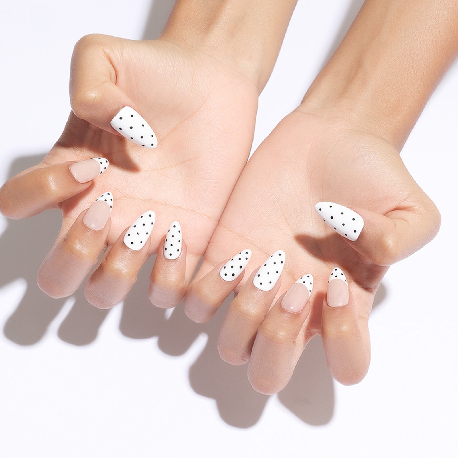 Dotty French